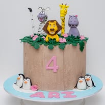 Safari theme cake